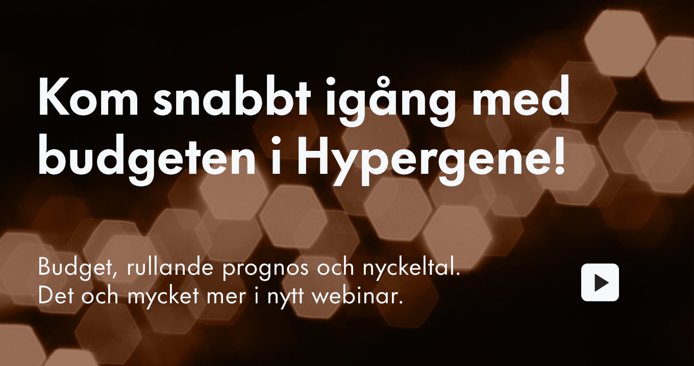 24 02 01 SE WOD Enkel Och Snabb Budget Och Prognosprocess