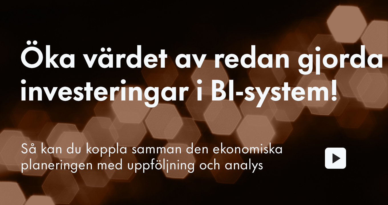 23 02 01 SE WOD Agila Budget Och Prognos